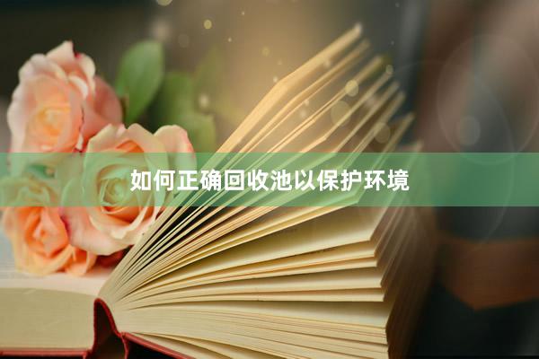 如何正确回收池以保护环境